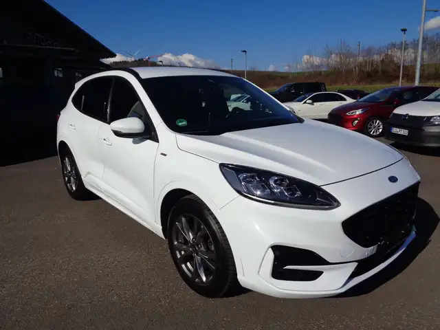 Ford Kuga view 3