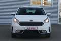 Kia Niro 1.6 Hybrid Vision Navi Kamera Teilleder Weiß - thumbnail 3