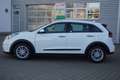 Kia Niro 1.6 Hybrid Vision Navi Kamera Teilleder Weiß - thumbnail 9