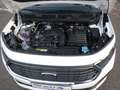 Ford Grand Tourneo Connect L2 Titanium 7-Sitzer Navi Bílá - thumbnail 5