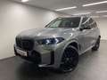 BMW X5 xDrive40d M Sportpaket Pro DA. Prof. PA. Prof. B&W Grau - thumbnail 7