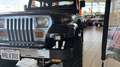 Jeep Wrangler 4.2L 6 CYLINDRES NOIRE 1990 Noir - thumbnail 7