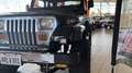 Jeep Wrangler 4.2L 6 CYLINDRES NOIRE 1990 Noir - thumbnail 9