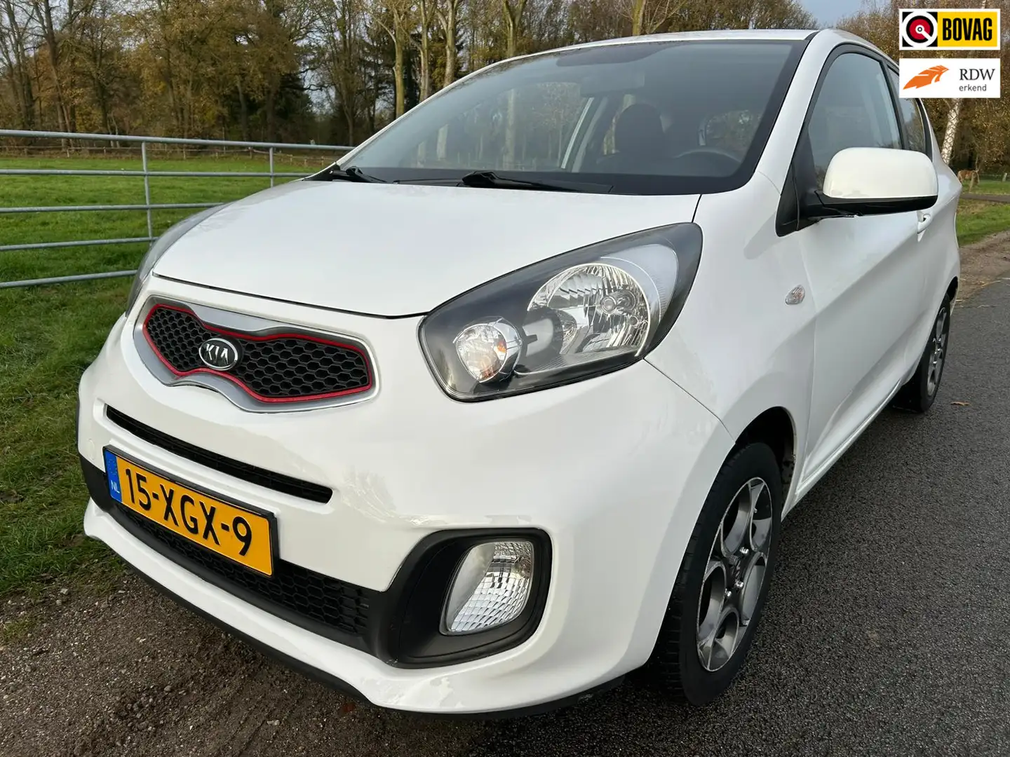 Kia Picanto 1.2 CVVT Comfort Pack AUTOMAAT Bianco - 1