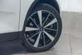 Polestar 2 Aut. Long Range Dual Motor Panoramadak 408pk Weiß - thumbnail 12