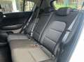 Kia Sportage 1.6 crdi 115 hybrid mhev 48volt active business 4x2 Gris - thumbnail 10