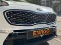 Kia Sportage 1.6 crdi 115 hybrid mhev 48volt active business 4x2 Gris - thumbnail 34