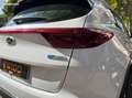 Kia Sportage 1.6 crdi 115 hybrid mhev 48volt active business 4x2 Gris - thumbnail 38