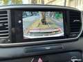 Kia Sportage 1.6 crdi 115 hybrid mhev 48volt active business 4x2 Gris - thumbnail 18