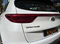 Kia Sportage 1.6 crdi 115 hybrid mhev 48volt active business 4x2 Gris - thumbnail 39