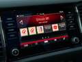 Skoda Kodiaq 2.0 TSI 4X4 Sportline Pano Acc Stoelverw. Trekhaak Gris - thumbnail 14