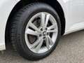 Skoda Fabia Combi Ambition  1,0 TSI Weiß - thumbnail 33