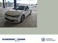 Volkswagen Golf VIII 2.0 TDI Active Weiß - thumbnail 1
