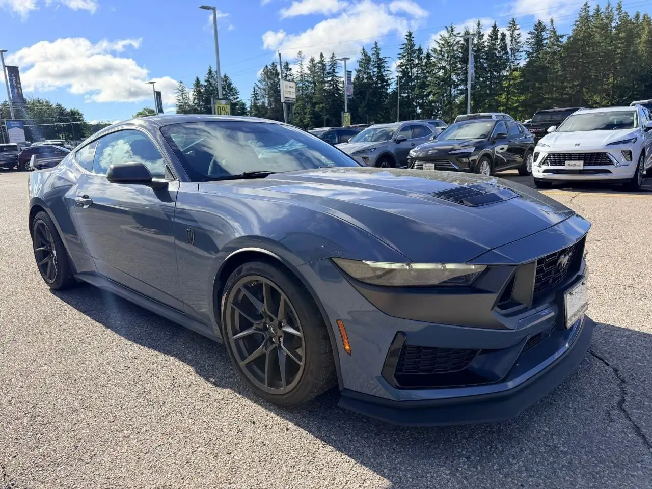 Ford Mustang fotografie Ford Mustang