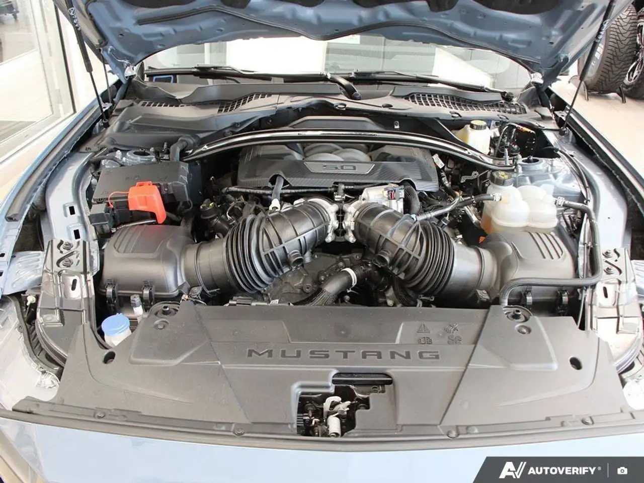 Ford Mustang photo Ford Mustang