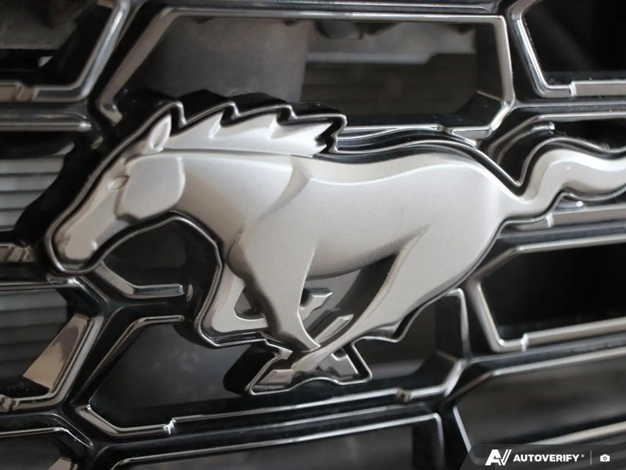 Ford Mustang photo Ford Mustang
