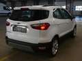 Ford EcoSport Titanium Weiß - thumbnail 3