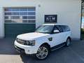 Land Rover Range Rover Sport SDV6 HSE 360 Kamera,H&K, Keyless, Schiebedach, ACC Weiß - thumbnail 1