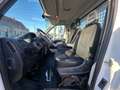Peugeot Boxer 2.2 HDi - ! Benne Basculante !  - 2015 Wit - thumbnail 13