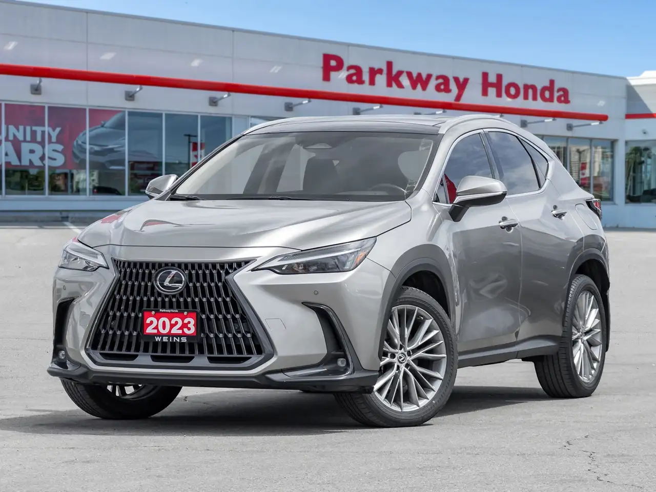 2023 Lexus NX