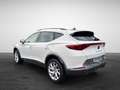CUPRA Formentor 2.0 TDI Weiß - thumbnail 5