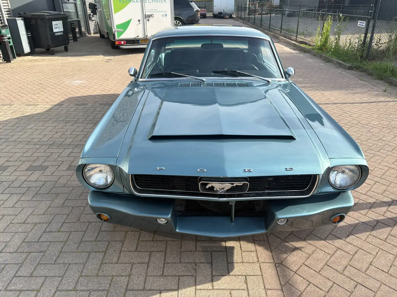 Ford Mustang Coupe A-Code Automaat-NL Kenteken, foto 6