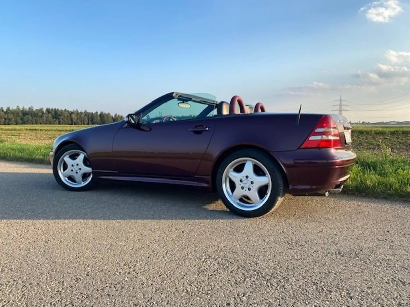 Mercedes-Benz SLK 320 SLK 320 Violett - 1