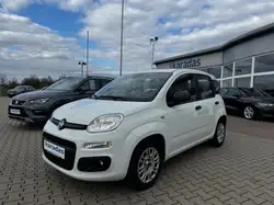 Fiat Panda 1,2 8V Easy Sitzheiz/Einparkhilfe