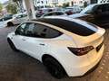 Tesla Model Y Premium LR Dual AWD*MatrixLED*20Zoll Blanc - thumbnail 6