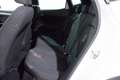 SEAT Arona 1.0 TGI 90cv FR *NEO PATENTATI* Bianco - thumbnail 9