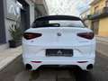 Alfa Romeo Stelvio Stelvio 2.2 D Veloce Q4 210 Cv+Tetto+Pelle Rossa.. Blanco - thumbnail 10