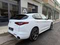 Alfa Romeo Stelvio Stelvio 2.2 D Veloce Q4 210 Cv+Tetto+Pelle Rossa.. Blanco - thumbnail 3