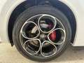 Alfa Romeo Stelvio Stelvio 2.2 D Veloce Q4 210 Cv+Tetto+Pelle Rossa.. Blanco - thumbnail 20