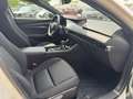 Mazda 3 2.5L e-SKYACTIV G 140ps Homura LED PDC Blanc - thumbnail 19
