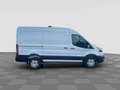 Ford Transit Transit 350 2.0TDCi EcoBlue 165CV PM-TM Furgone Tr Alb - thumbnail 6