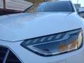 Audi A4 allroad 40 2.0 tdi mhev quattro 204cv s-tronic Weiß - thumbnail 6