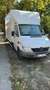 Mercedes-Benz Sprinter 213 CDI Sprinter 902.611 Weiß - thumbnail 2