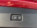 Audi RS Q8 SUV performance tiptr. Vmax305 Stdhz PANO Rot - thumbnail 16