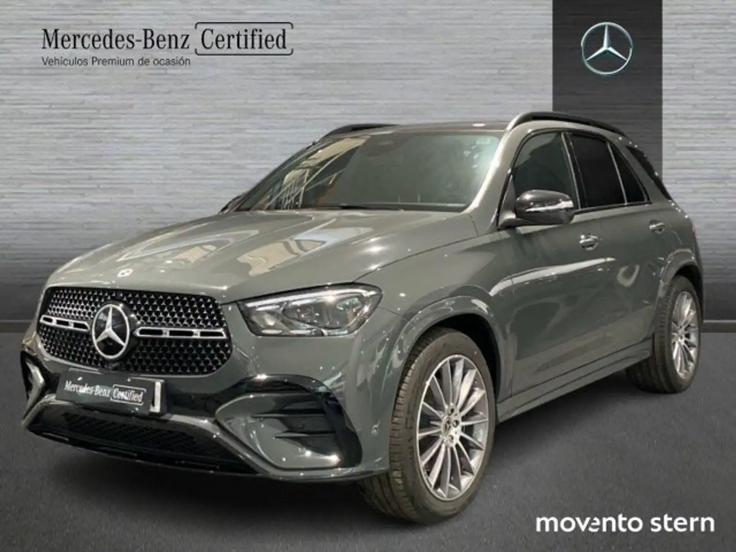 Mercedes-Benz GLE 300 300d 4Matic Aut. Gris - 1