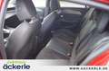 Peugeot 308 GT Komfort-Paket-Plus I Pano-Schiebedach I Kamera Rosso - thumbnail 14