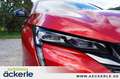 Peugeot 308 GT Komfort-Paket-Plus I Pano-Schiebedach I Kamera Rosso - thumbnail 13