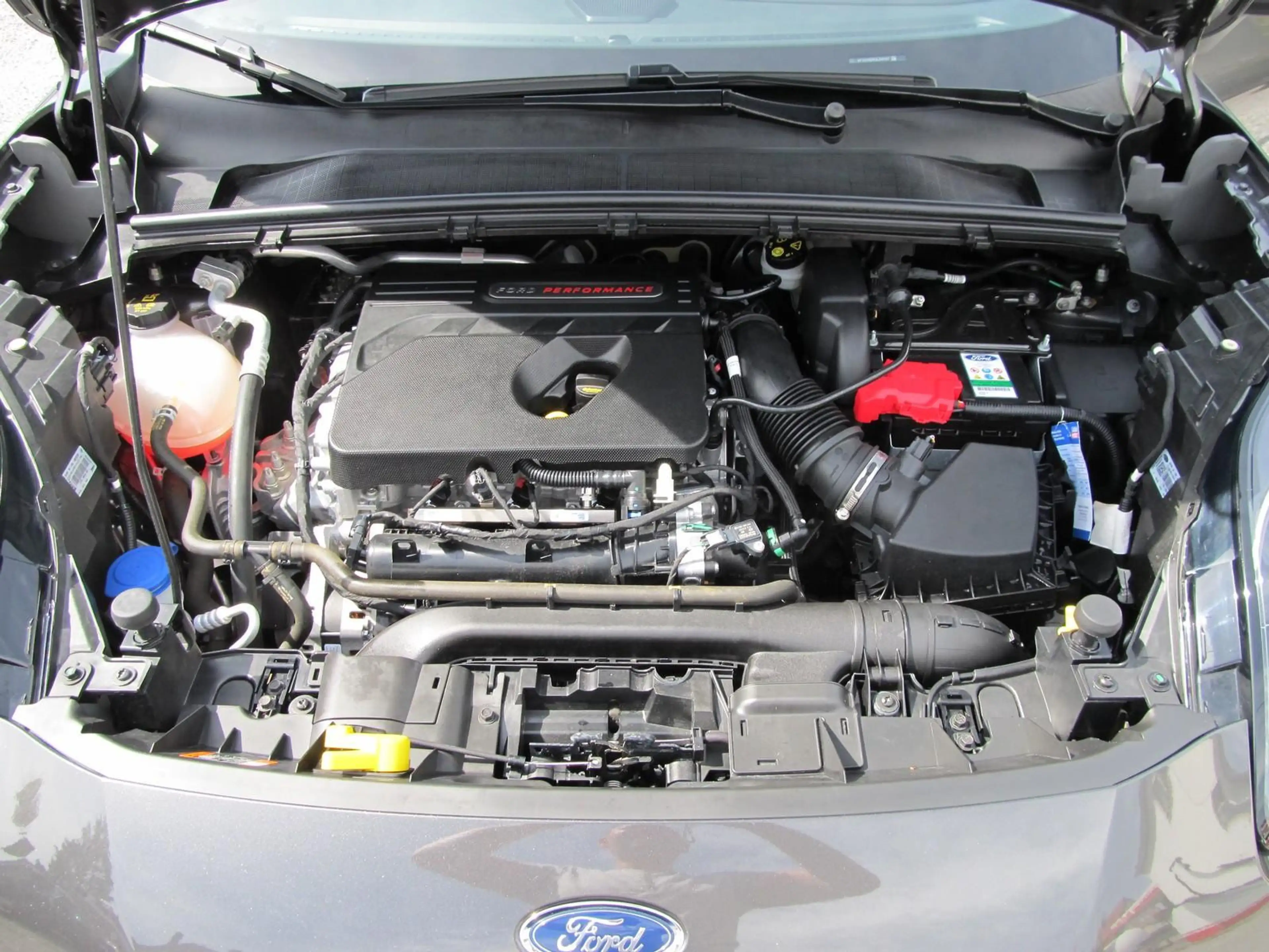 Ford Puma Ford Puma ST 200 PS | NUR 16.000 KM | RECARO | B&O — photo 15