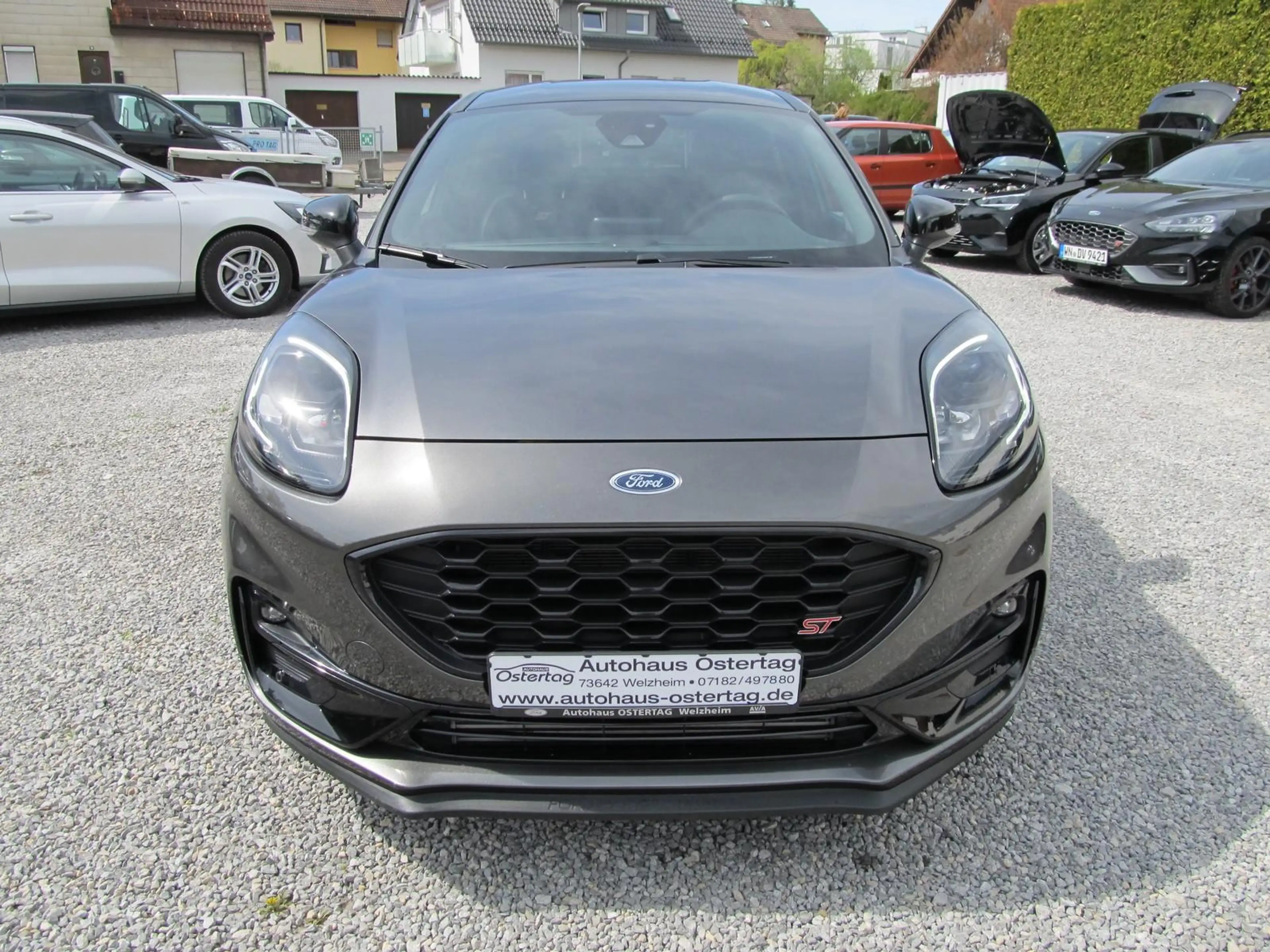 Ford Puma Ford Puma ST 200 PS | NUR 16.000 KM | RECARO | B&O — photo 3