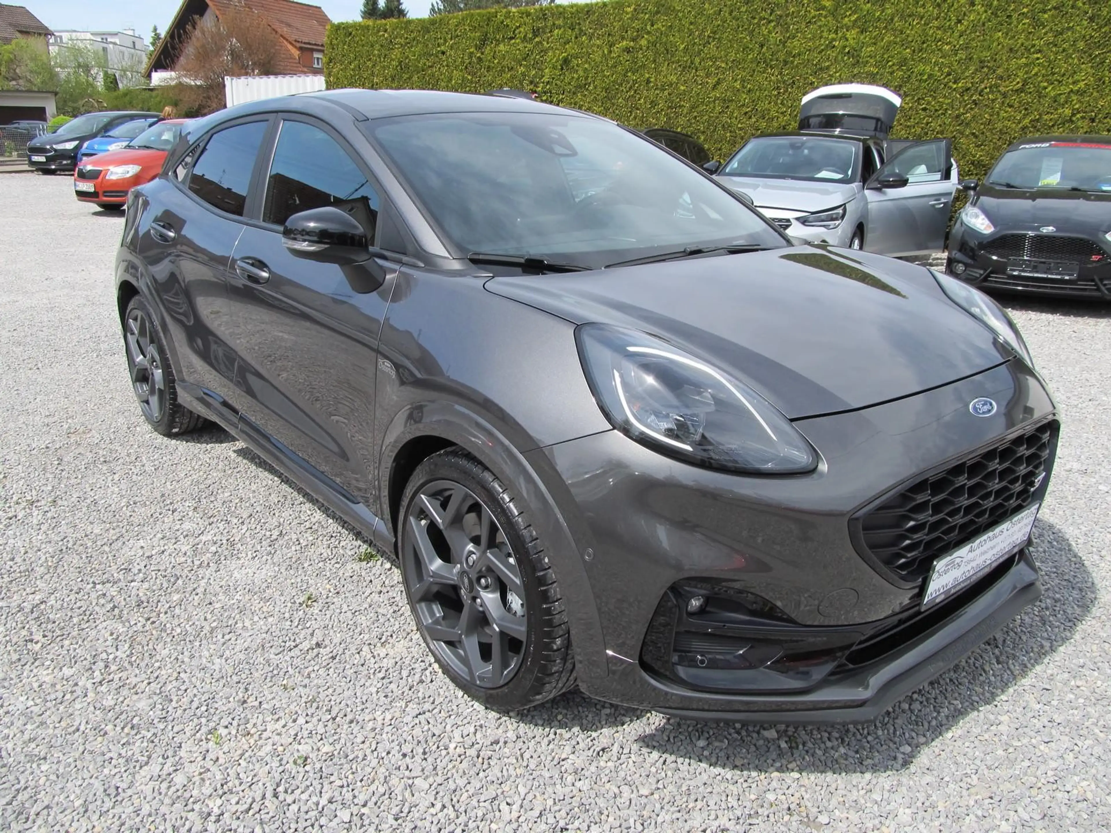 Ford Puma Ford Puma ST 200 PS | NUR 16.000 KM | RECARO | B&O — photo 4
