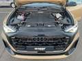 Audi Q8 SUV 50 TDI S line Pano AHK Allradl. quattro 2 Gold - thumbnail 12