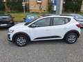 Dacia Sandero Stepway TCe 90 CVT Expression Weiß - thumbnail 3