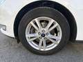 Ford Galaxy 2.0 EcoBlue 190ch Titanium Euro6.2 Weiß - thumbnail 9