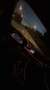 BMW X5 M M50 dAS AdBlue - thumbnail 6