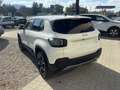 Jeep Avenger 1.2 turbo Summit fwd 100cv * KM ZERO * Bianco - thumbnail 6