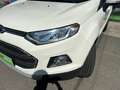 Ford EcoSport 1.0 EcoBoost 125 CV Titanium Weiß - thumbnail 18